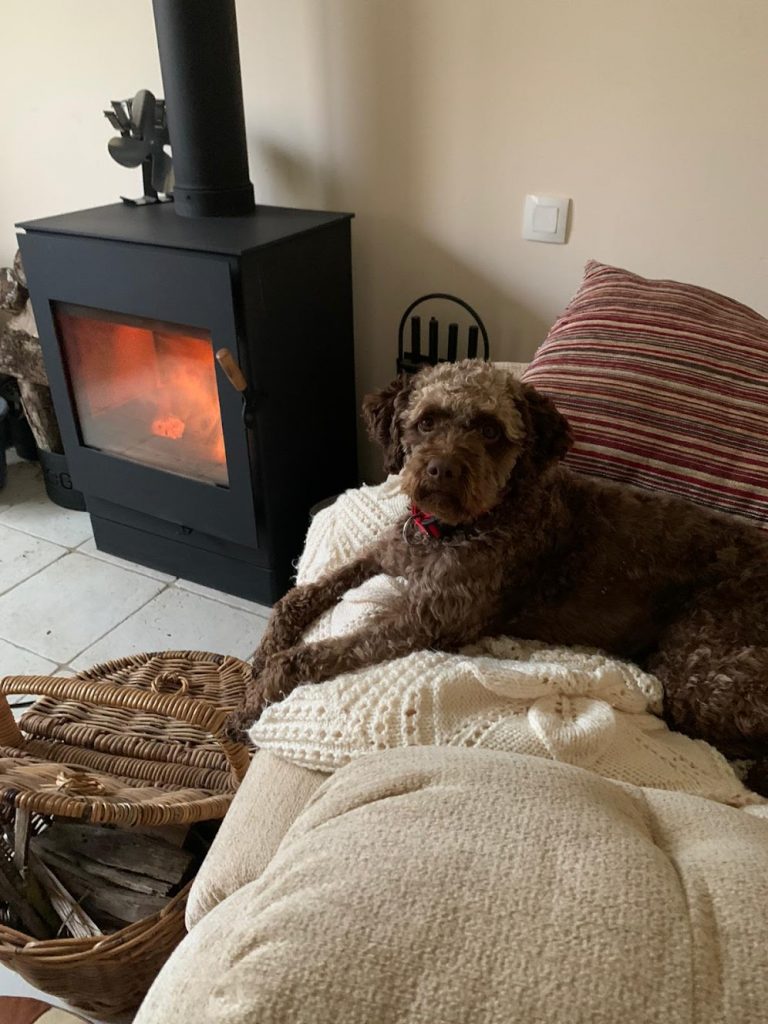 Brown Labrador puppy resting on a couch by a lit fireplace in a countryside chateau in France