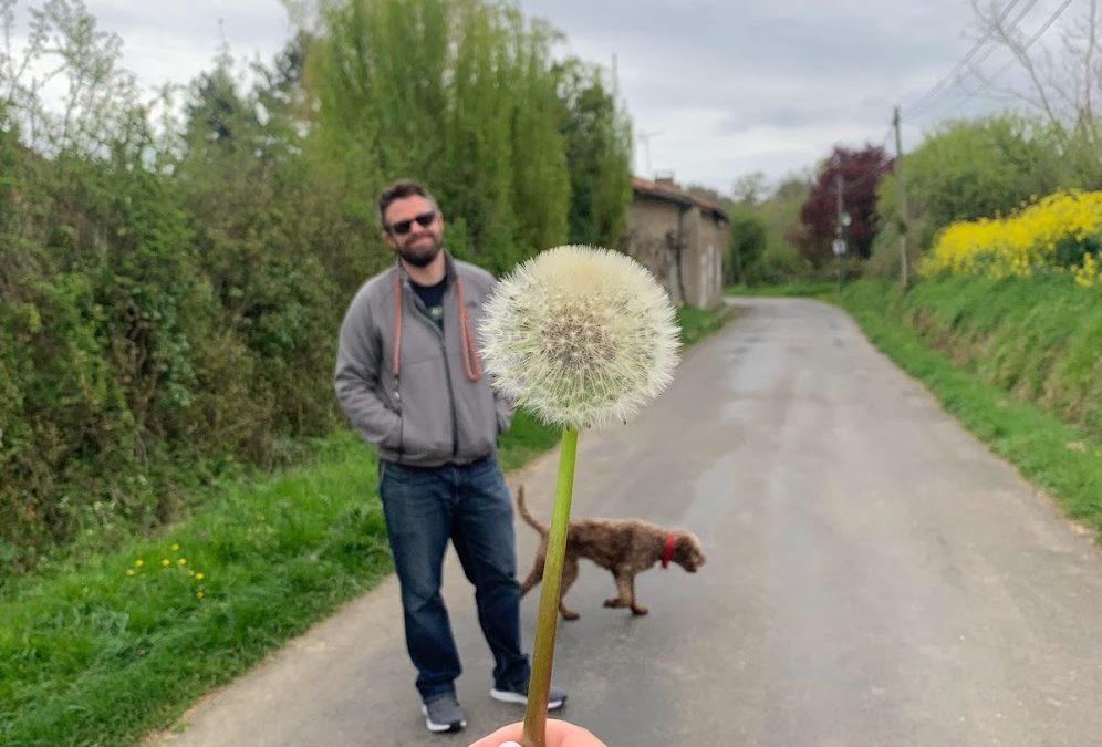 Hand holding a dandelion puff on a quiet country road in rural France with Matt and a Milo the brown dog in the background